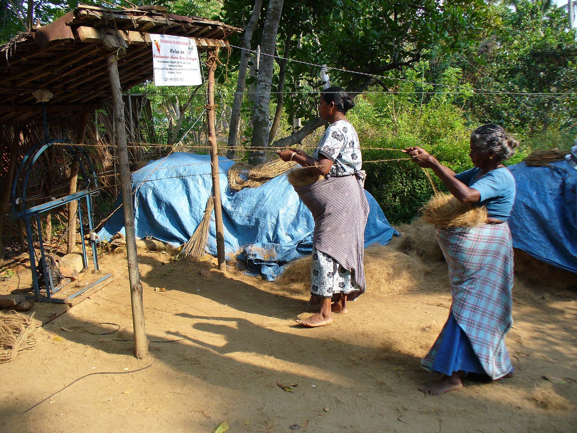 Members of a cooperative twisting coir rope beside the backwaters