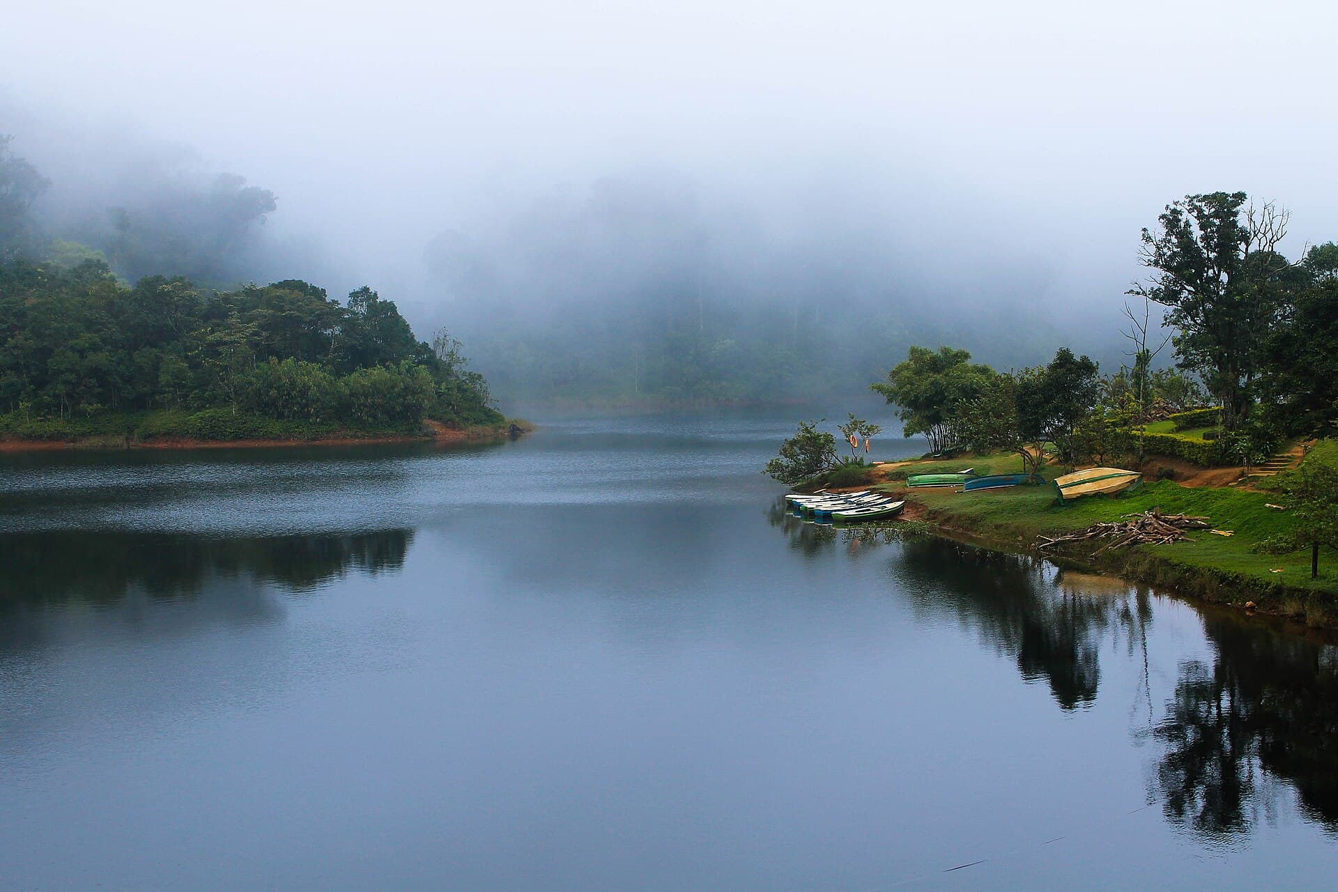 Forest and hills around the village of Gavi in the Periyar landscape