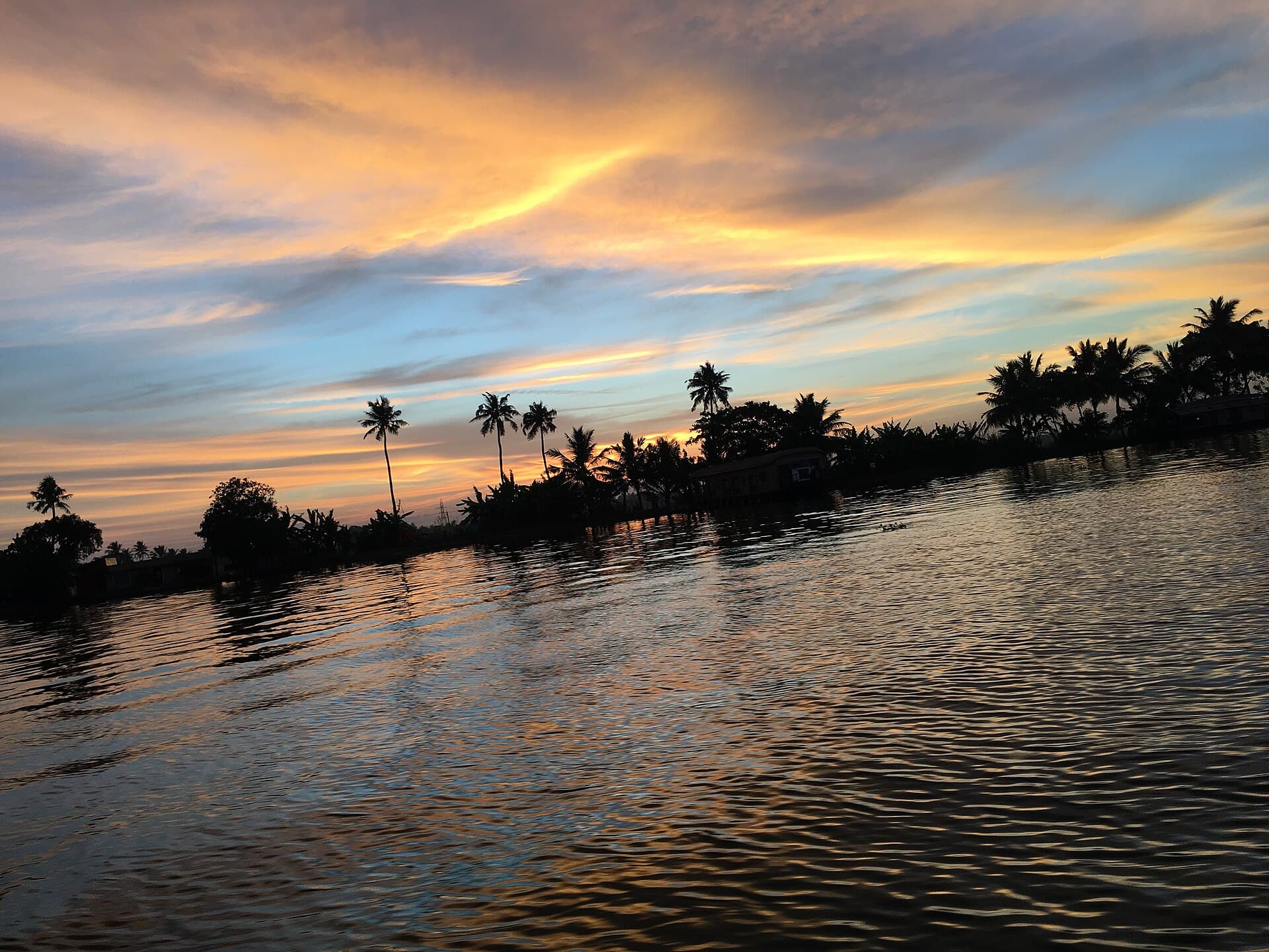 Palm-lined backwaters in Alappuzha at sunset, seen from a small boat