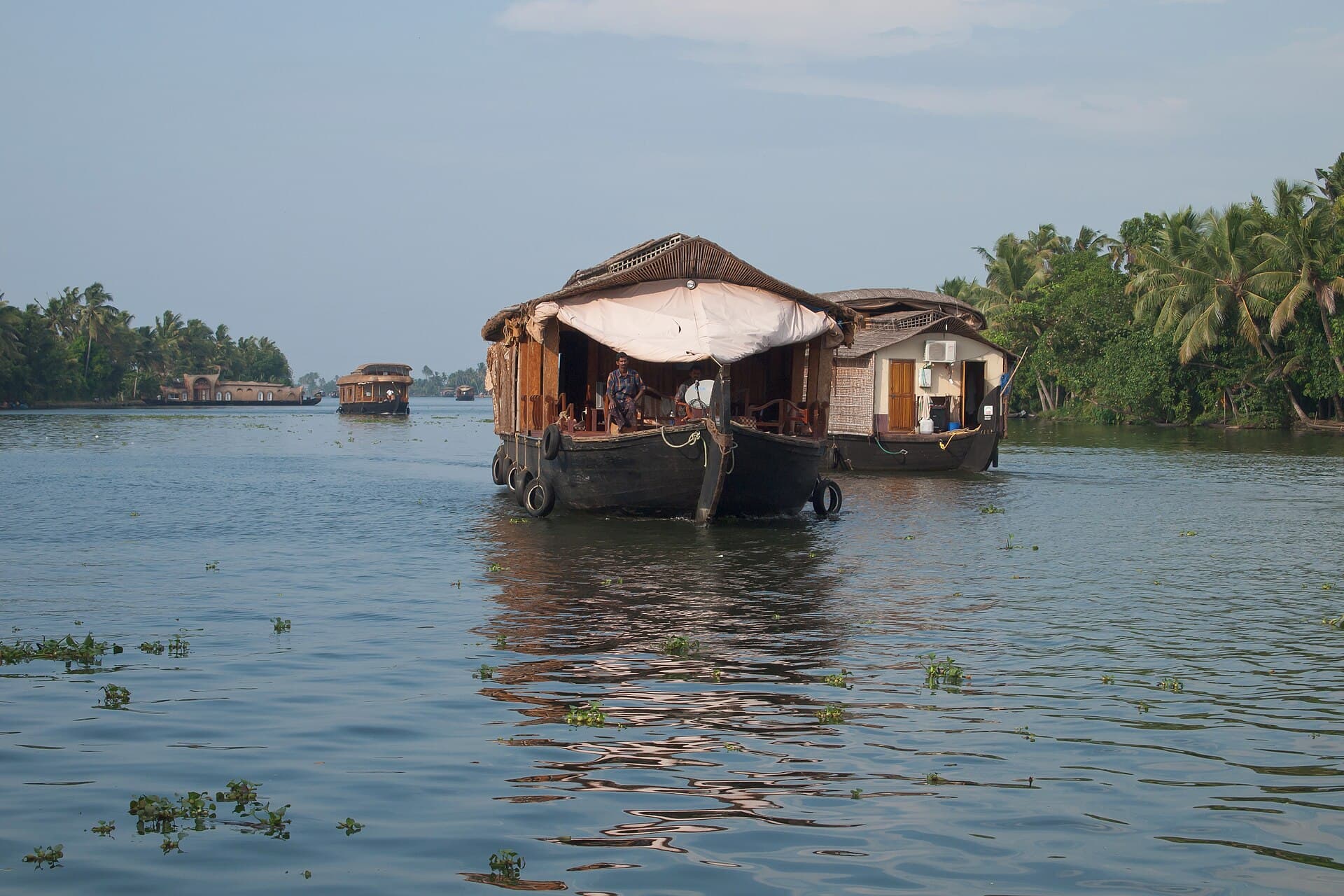 Traditional kettuvallam houseboats on the Kerala backwaters
